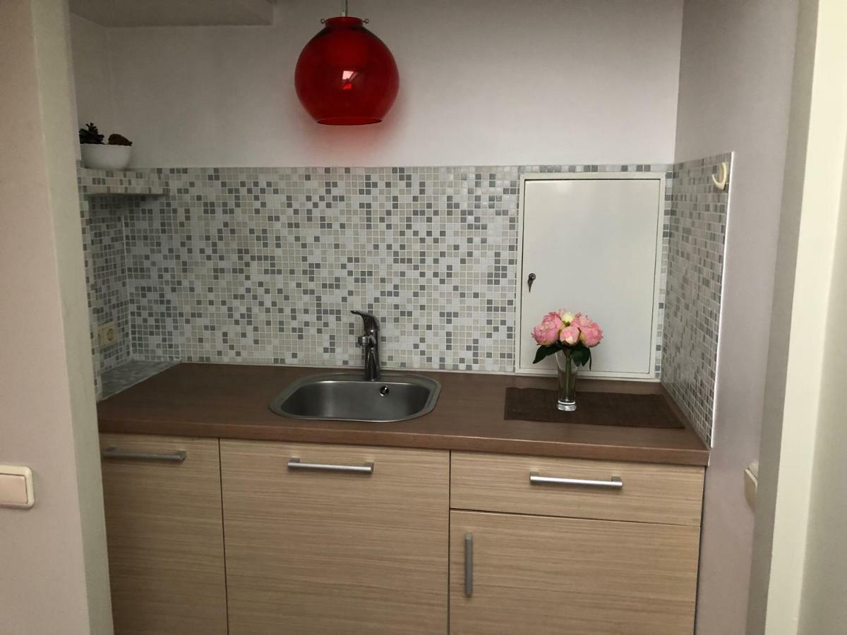 Family Or Group Apartment In Green Center รีกา ภายนอก รูปภาพ